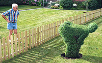 blog_topiary